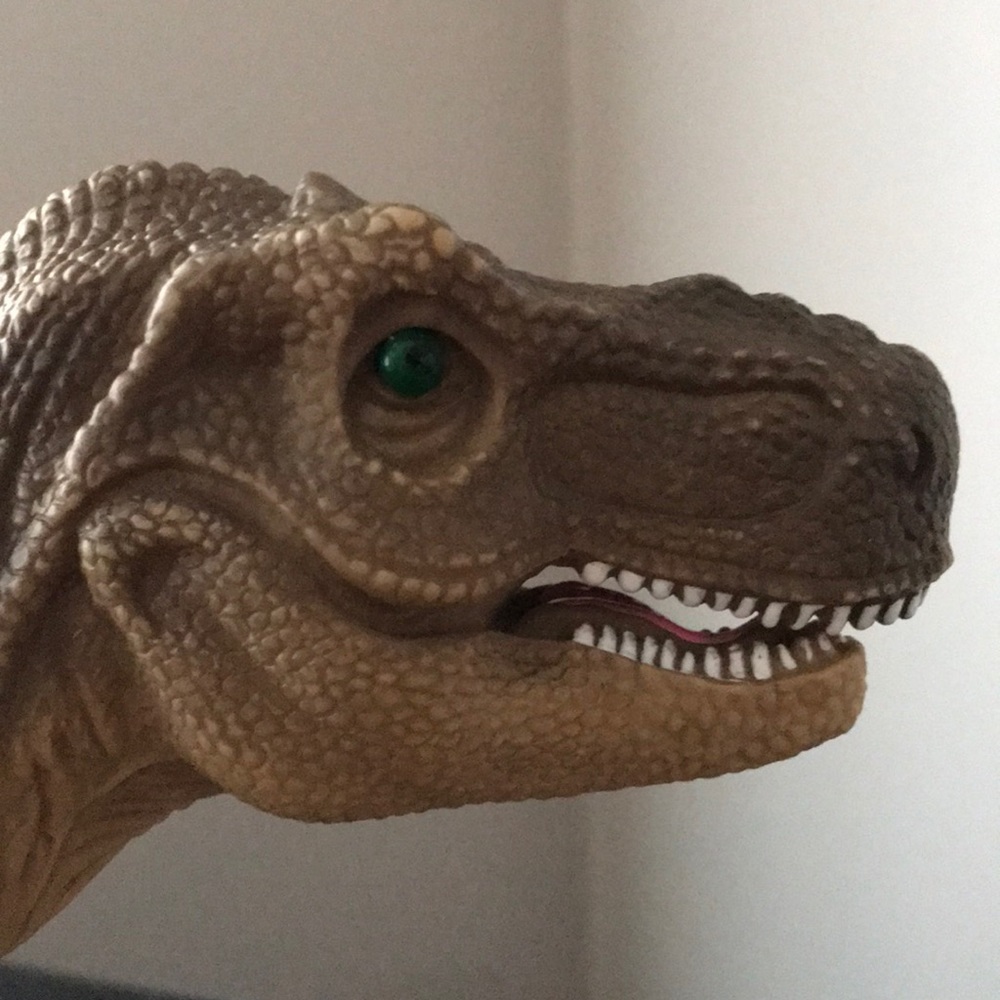 Meet your Posher, Tracy